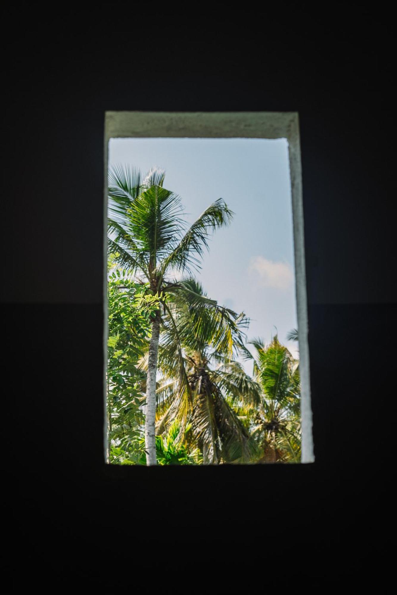 Chill Vibes Hiriketiya Vandrarhem Dikwella Exteriör bild